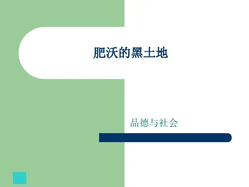 肥沃的黑土地