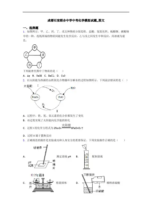 成都石室联合中学中考化学模拟试题_图文