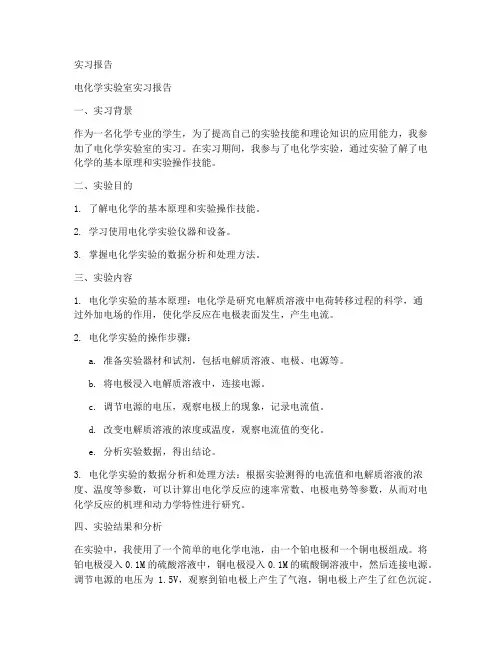 电化学实验室实习报告