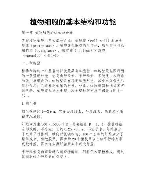 植物细胞的基本结构和功能