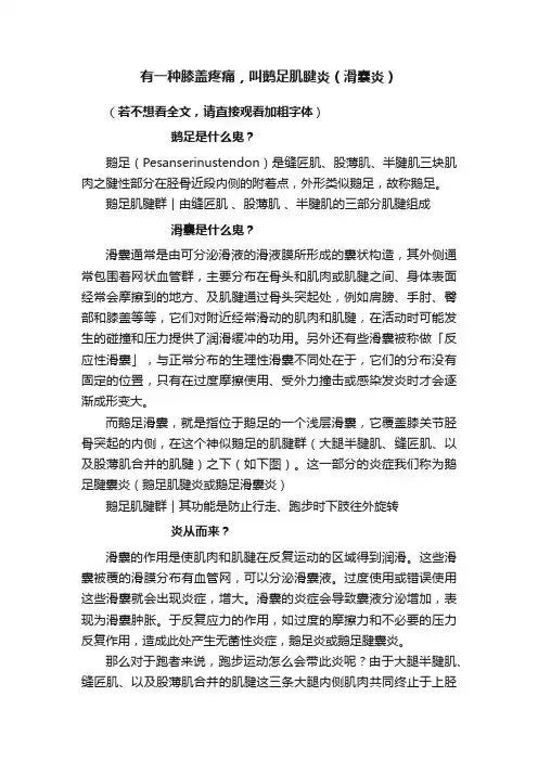 有一种膝盖疼痛，叫鹅足肌腱炎（滑囊炎）