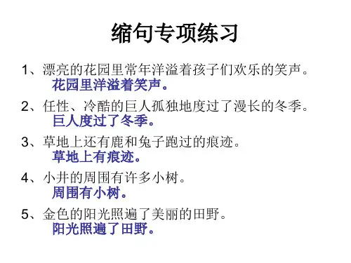 缩句专项练习