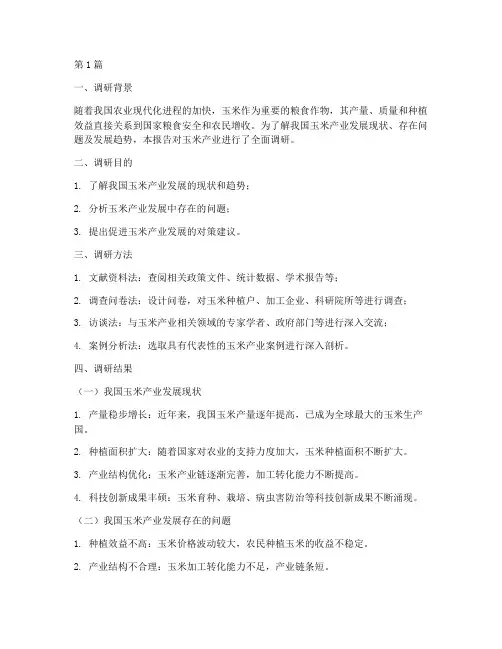 玉米调研报告模板(3篇)