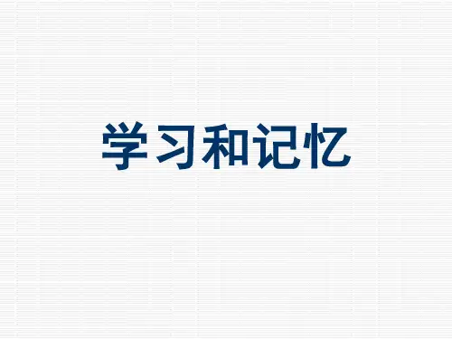 学习和记忆(px)