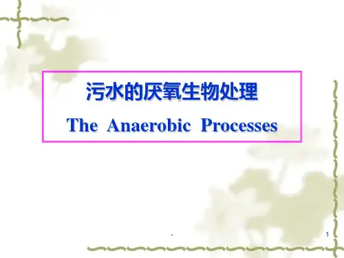 污水的厌氧生物处理PPT课件