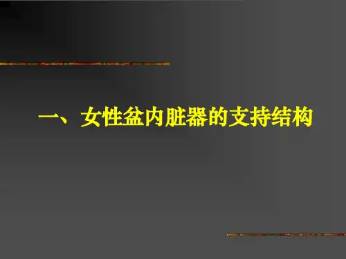 尿道角及尿道括约肌西南医院ppt课件
