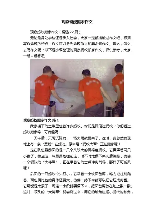 观察蚂蚁搬家作文