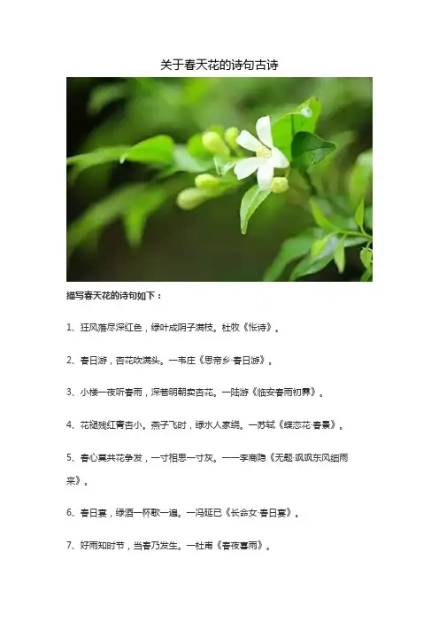 关于春天花的诗句古诗