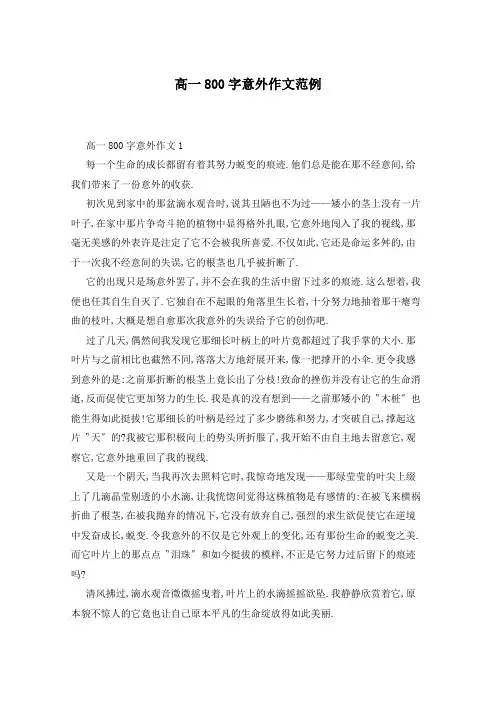 高一800字意外作文范例