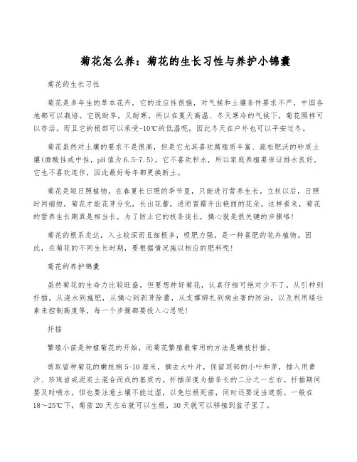 菊花怎么养：菊花的生长习性与养护小锦囊
