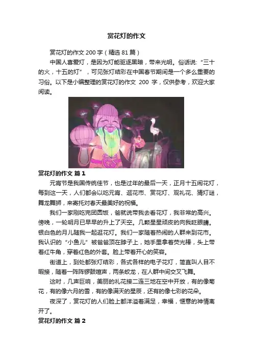 赏花灯的作文
