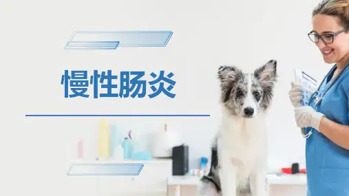 犬猫消化系统疾病(慢性肠炎、犬出血性胃肠炎综合征、蛋白漏出性胃肠炎)-宠医课件