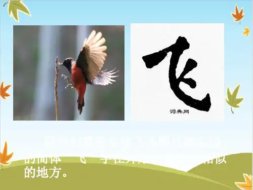 一年级上册语文写字课件 学写有横斜钩的字“飞”(部编版)