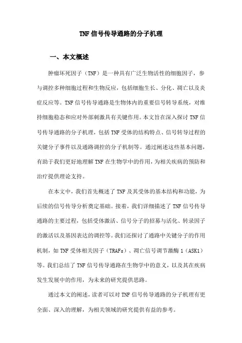 TNF信号传导通路的分子机理