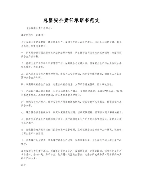 总监安全责任承诺书范文