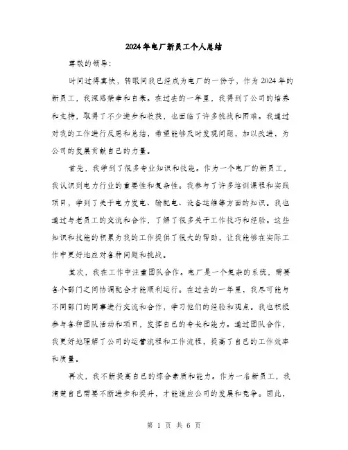 2024年电厂新员工个人总结（三篇）