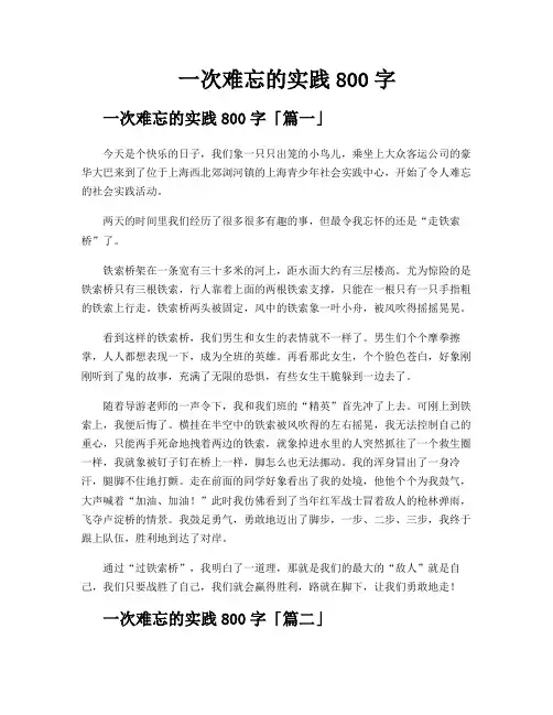一次难忘的实践800字