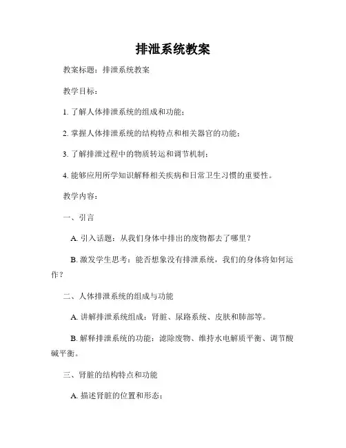 排泄系统教案