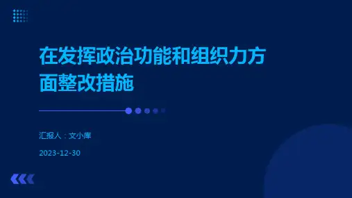 在发挥政治功能和组织力方面整改措施