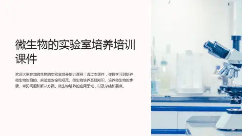 微生物的实验室培养培训课件