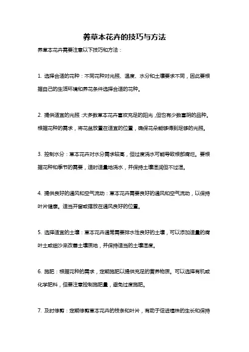 养草本花卉的技巧与方法