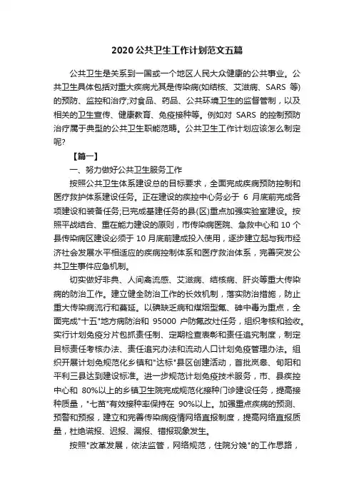 2020公共卫生工作计划范文五篇