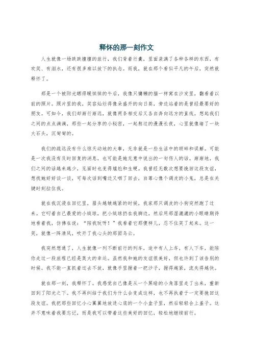 释怀的那一刻作文