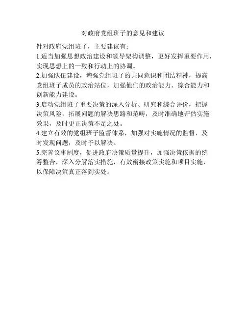 对政府党组班子的意见和建议