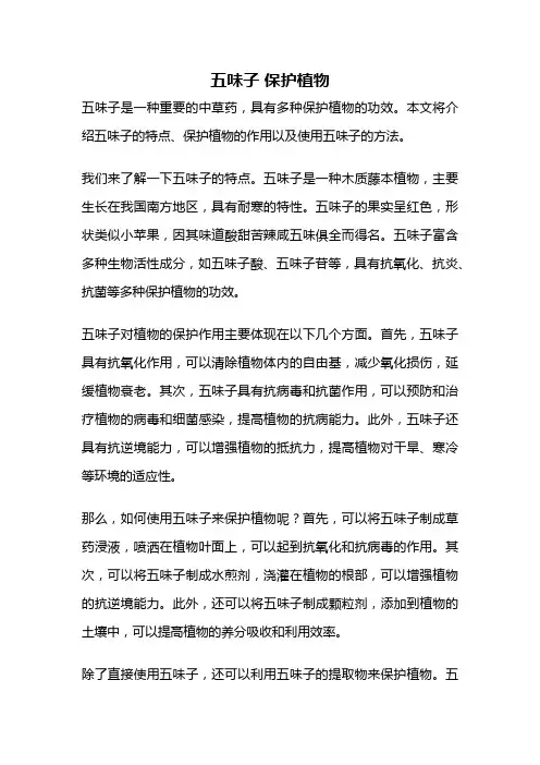 五味子 保护植物