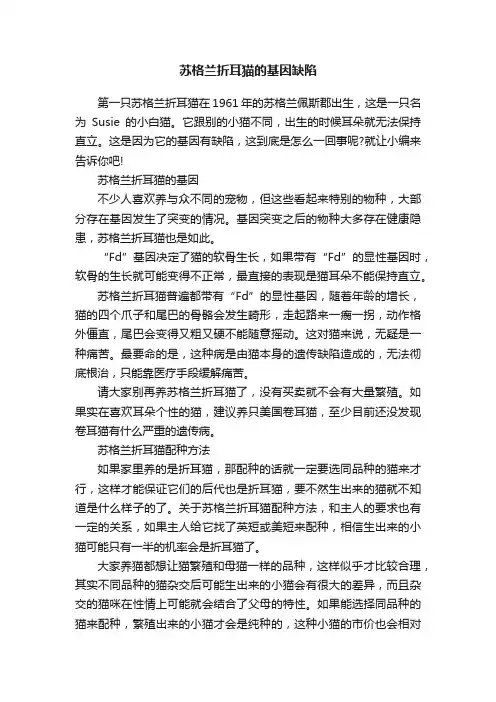 苏格兰折耳猫的基因缺陷