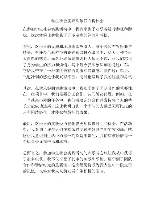 学生社会实践欢乐谷心得体会
