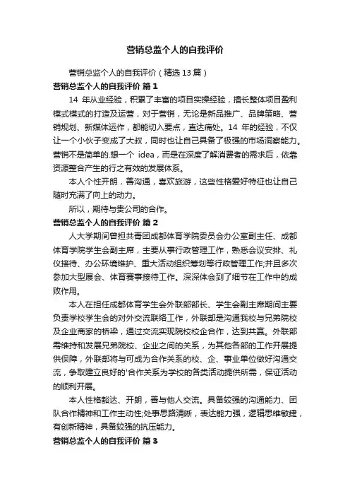 营销总监个人的自我评价