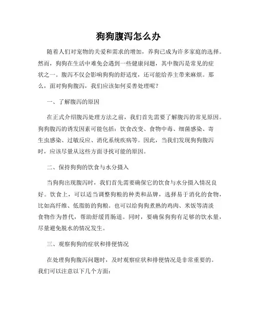 狗狗腹泻怎么办