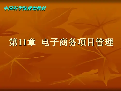电子商务项目管理