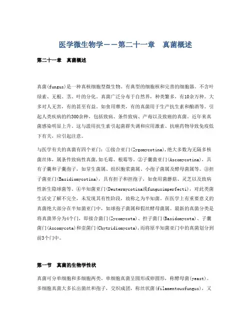 医学微生物学――第二十一章 真菌概述