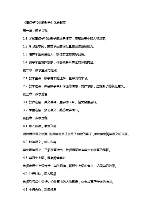 《盲孩子和他的影子》教案