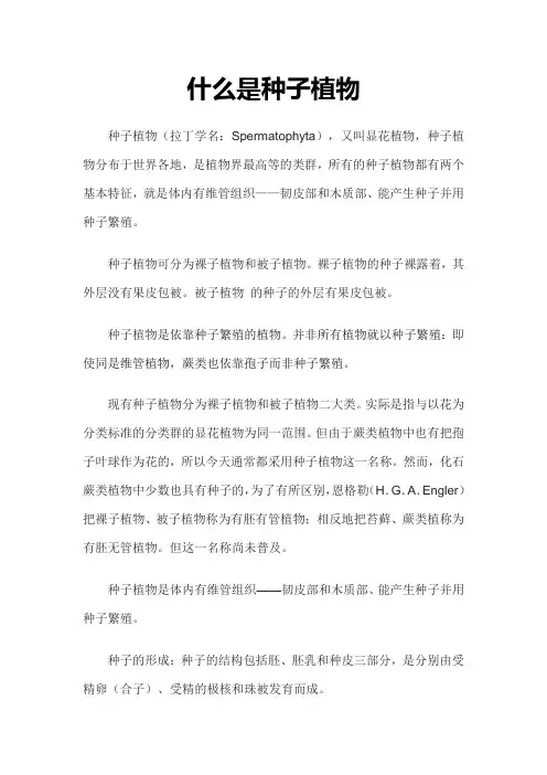 什么是种子植物
