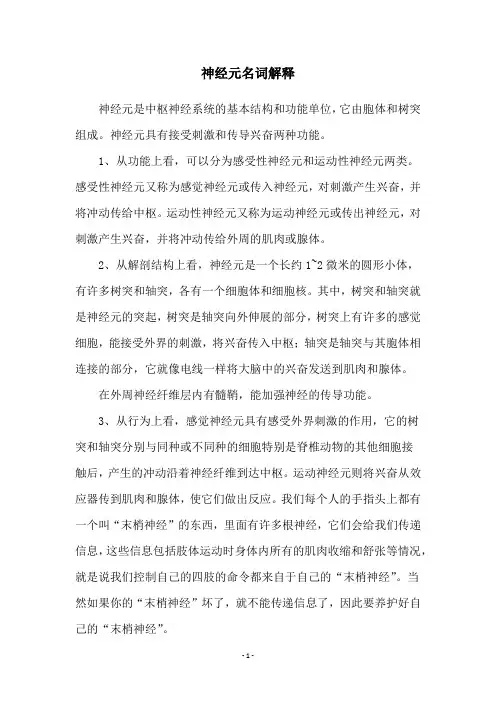 神经元名词解释