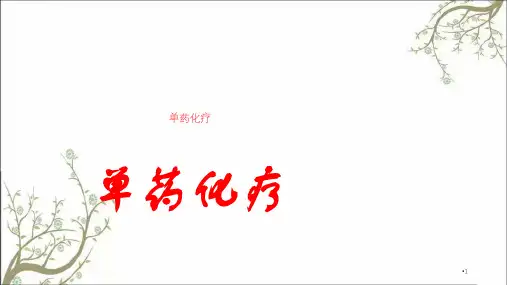 卵巢癌化疗新进展课件