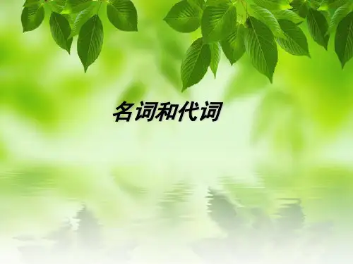 专升本 名词和代词