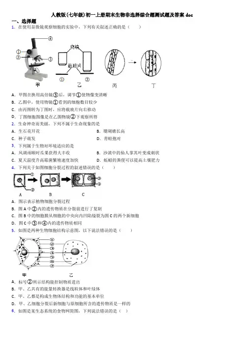 人教版(七年级)初一上册期末生物非选择综合题测试题及答案doc