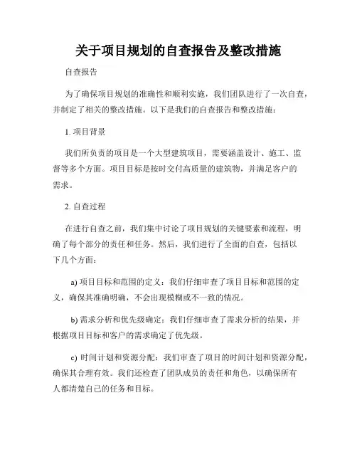 关于项目规划的自查报告及整改措施