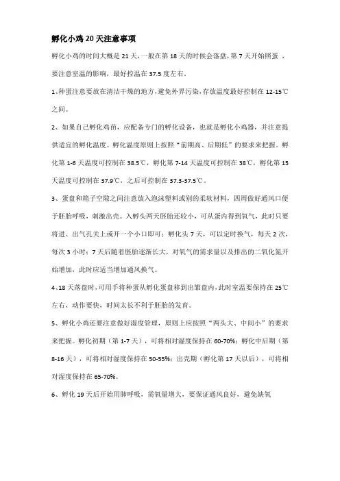 孵化小鸡20天注意事项