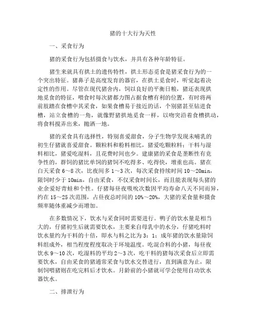 猪的十大行为天性