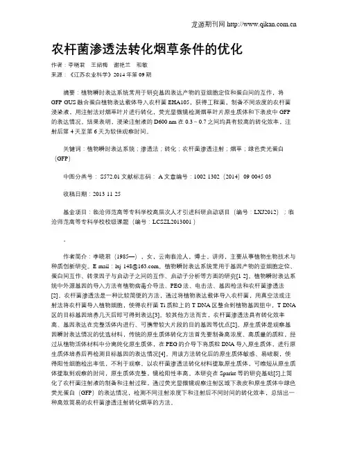 农杆菌渗透法转化烟草条件的优化