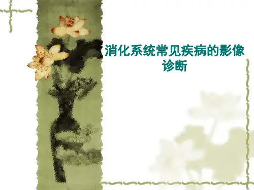 消化系统常见疾病的影像诊断