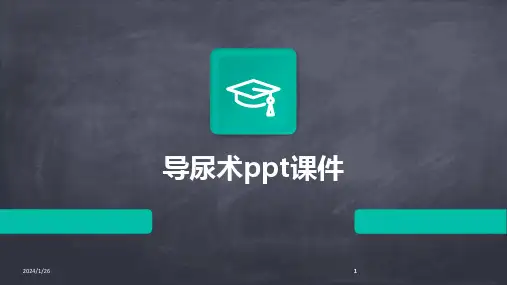 2024版导尿术PPT课件