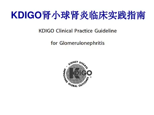 KDIGO-肾小球肾炎-各型指南