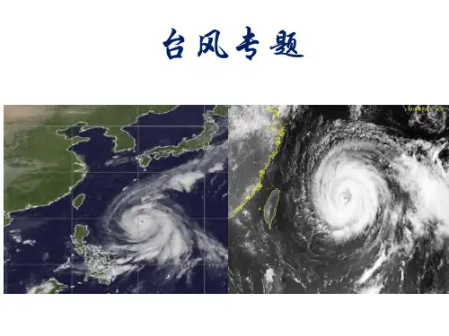 台风专题