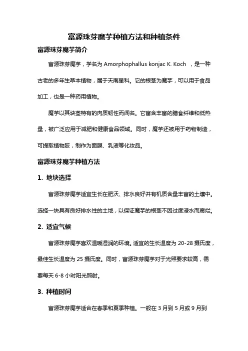 富源珠芽魔芋种植方法和种植条件